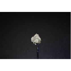 Glacier Lemon Gelato