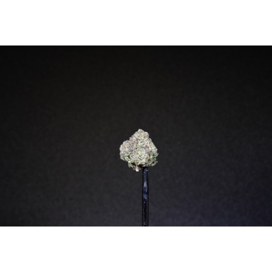 Glacier Lemon Gelato