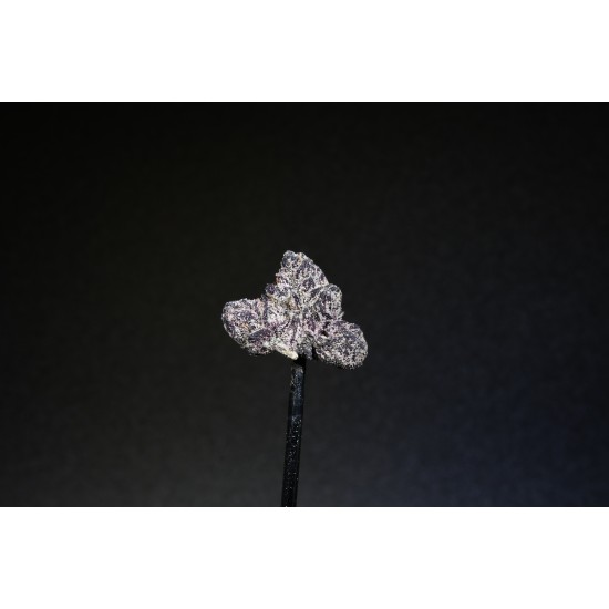 Lemon Candy Lollipop